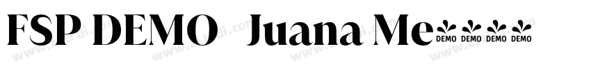 FSP DEMO   Juana Me字体转换